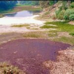 FB_IMG_1771742354148