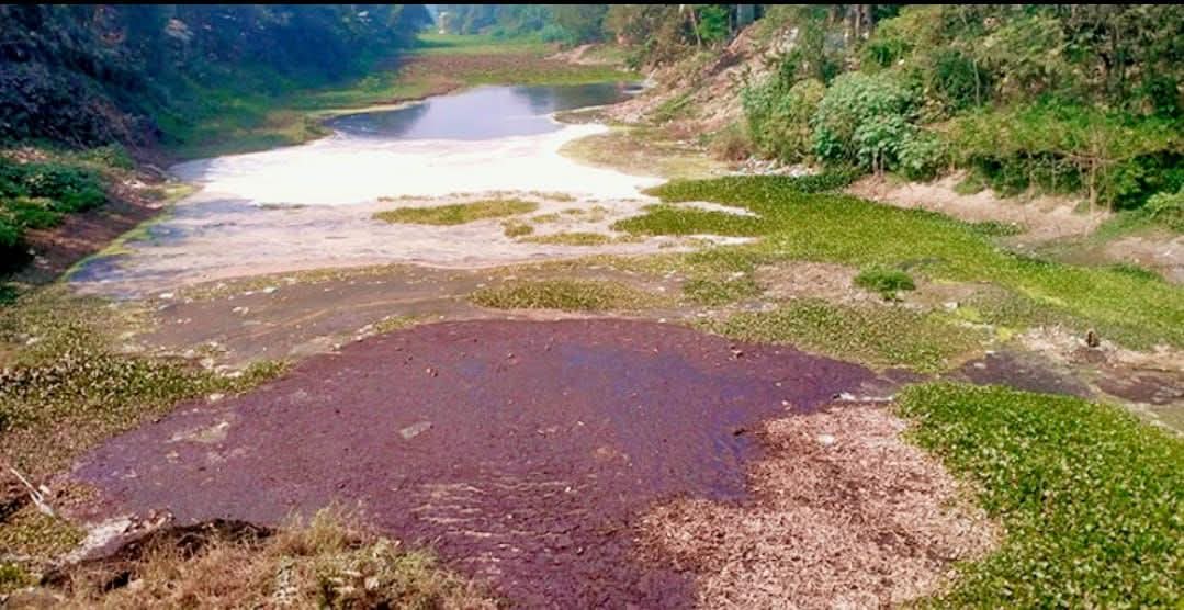 FB_IMG_1771742354148