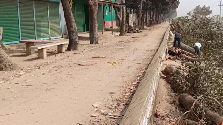 kamalpur-elakay-ndeevangn-rodhe-ropn-kra-gach-kete-fela-hyeche-1771857813