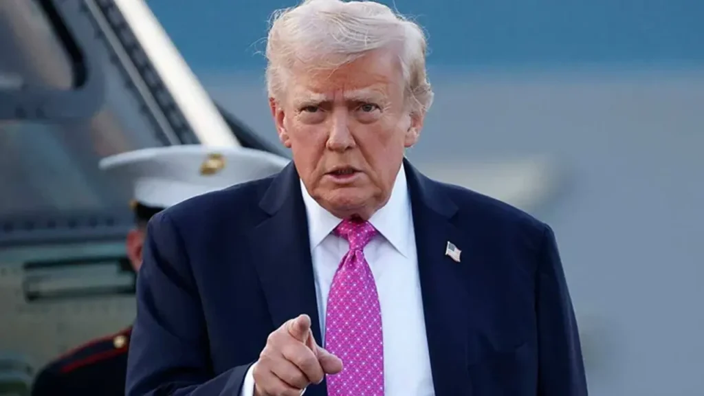 image_279782_1775454176